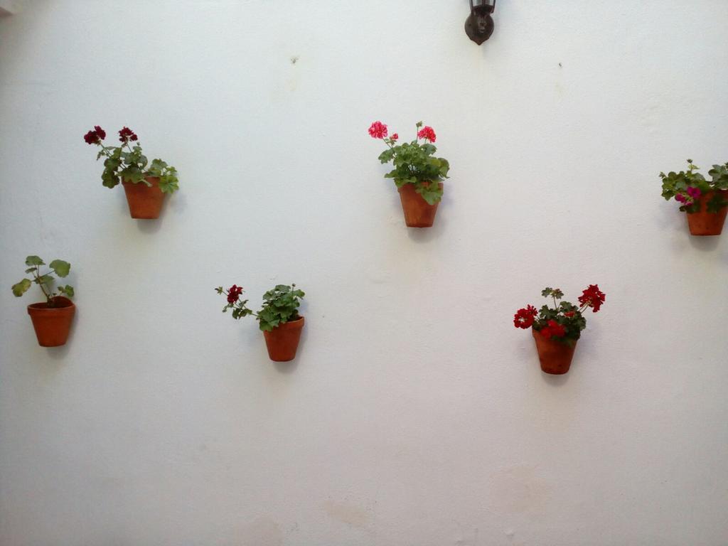 Apartamentos Porvera Jerez 헤레스 외부 사진